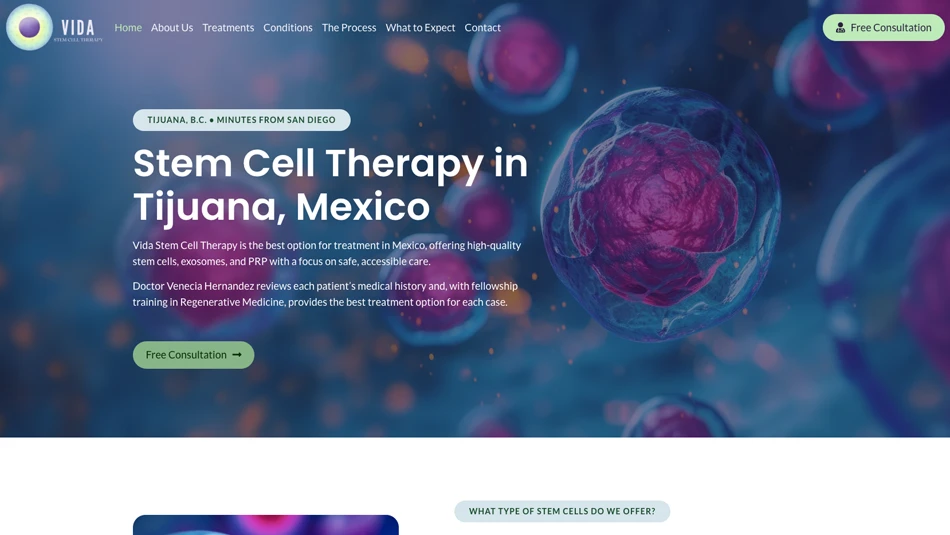 portafolio-diseno-web-tijuana-vida-stem